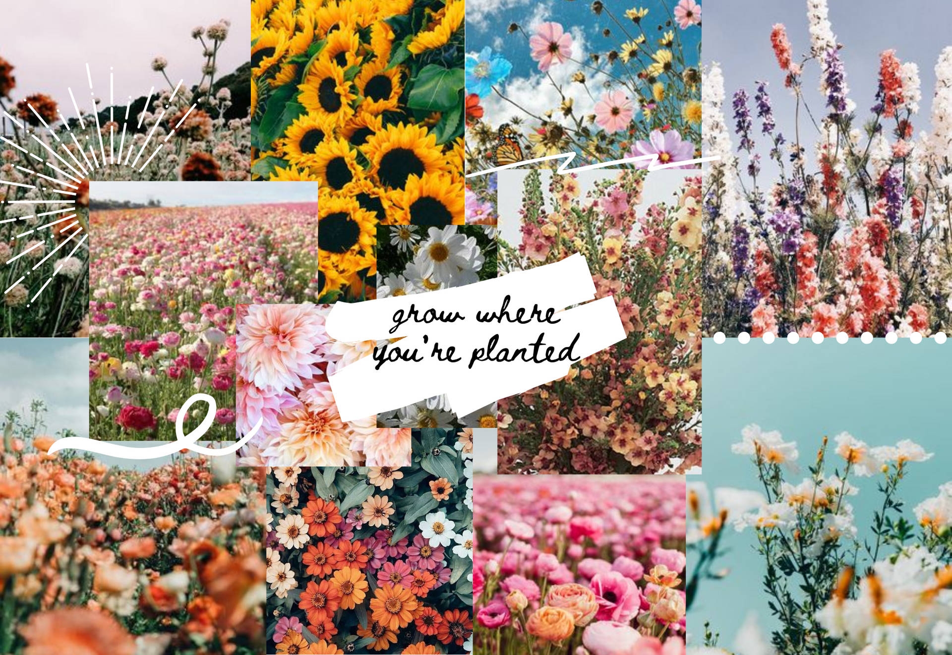 100 Aesthetic Spring Wallpapers Wallpapers