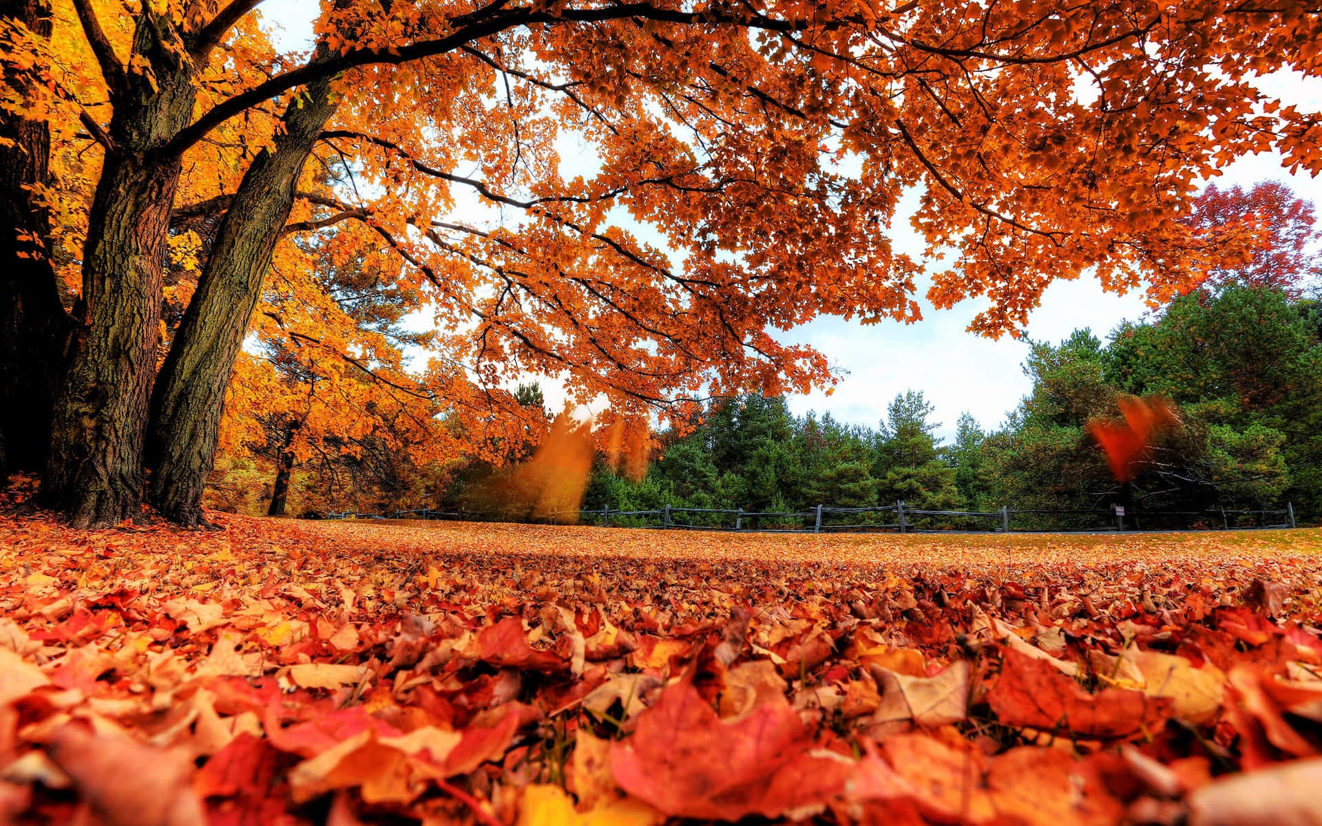 100 Fall Laptop Wallpapers Wallpapers