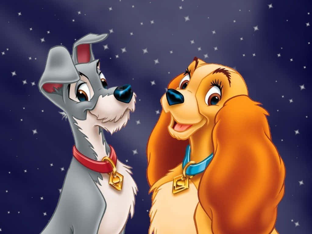 100 Lady And The Tramp Wallpapers Wallpapers