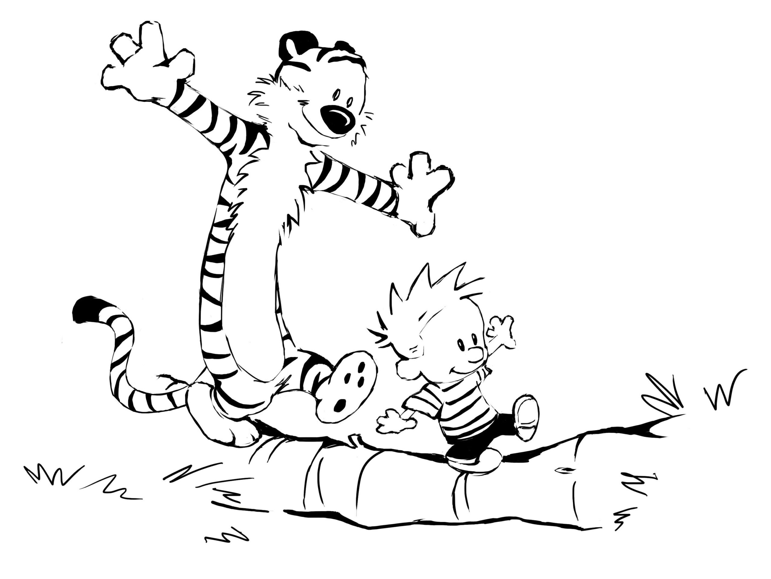 12 Calvin Hobbes Ideas To Save Today Calvin And Hobbes Calvin And Hobbes Comics Calvin And More