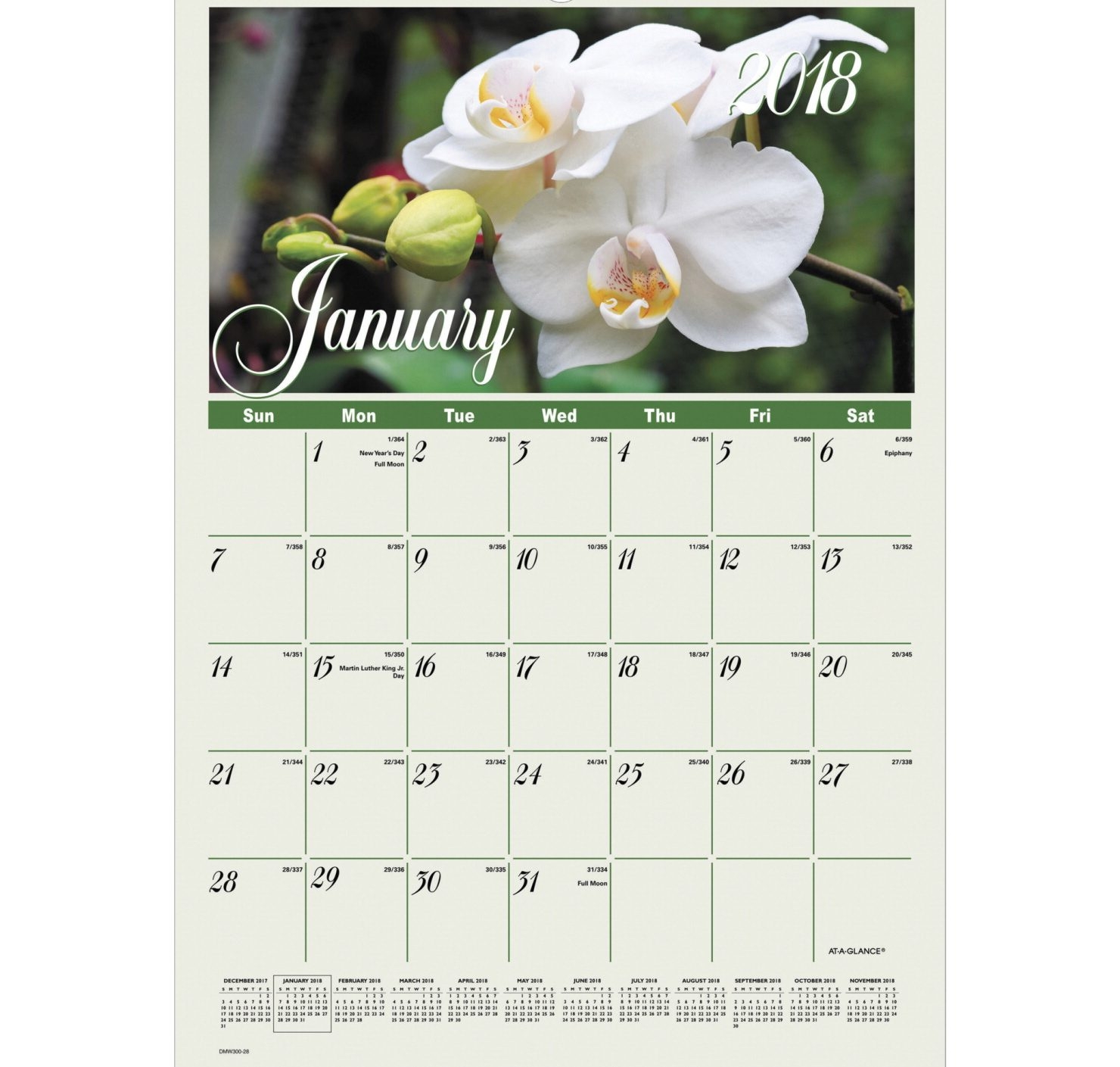 12 Month Wall Calendar Paper And Ink Printing