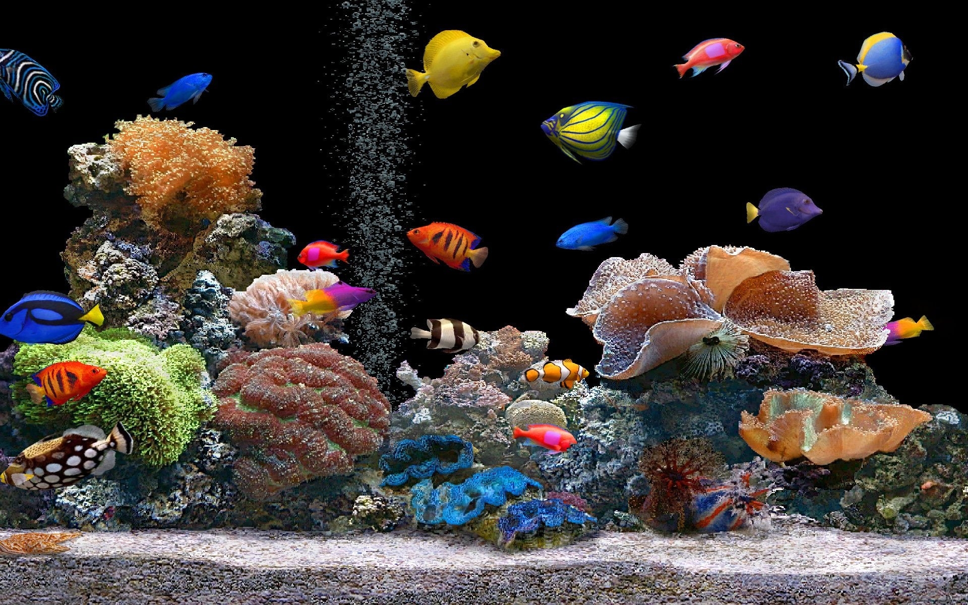  130 Free Desktop Wallpapers Screensaver WallpaperSafari