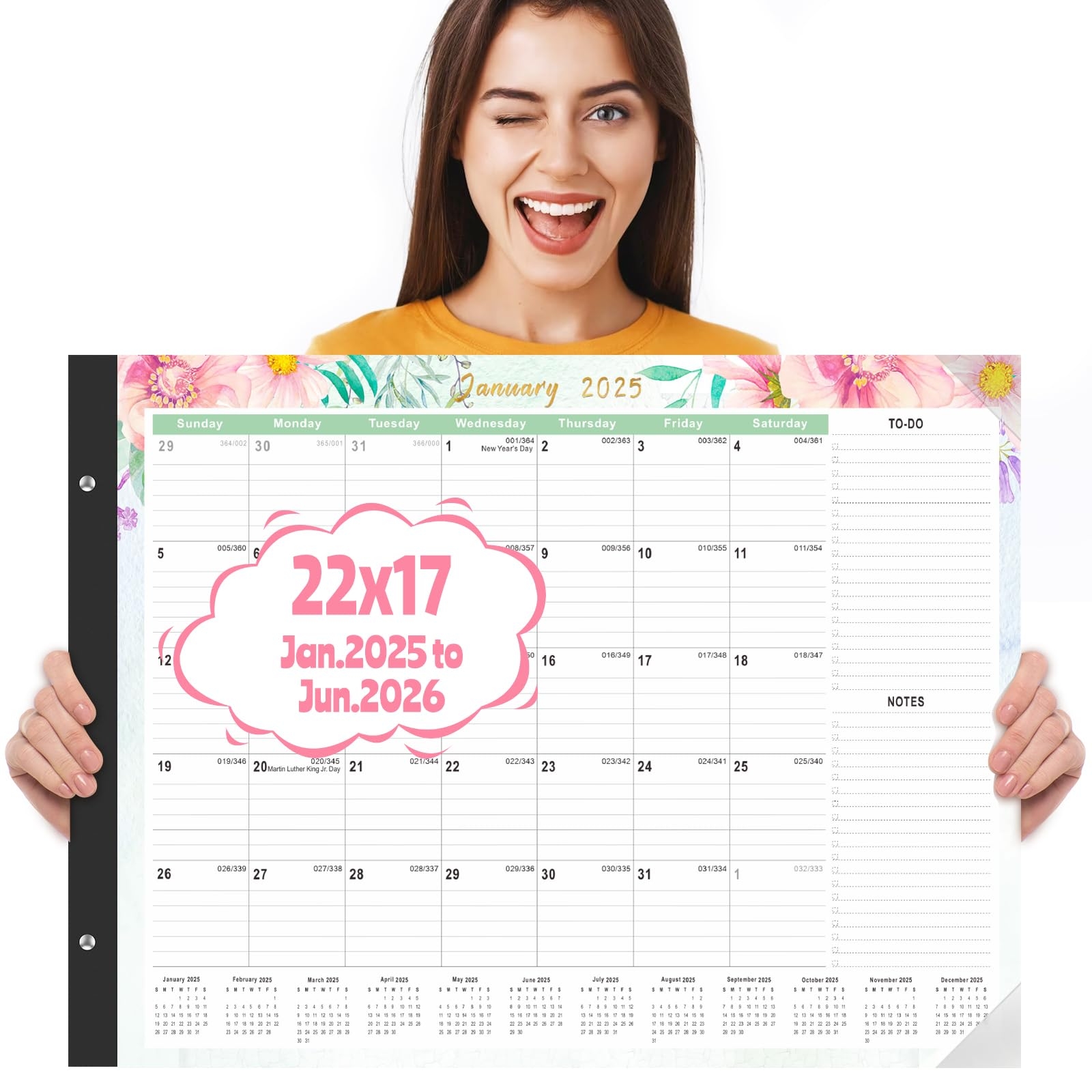 2025 Desk Calendar 22 x17 Monthly Planner For Office 18 Month Desktop Pad EBay