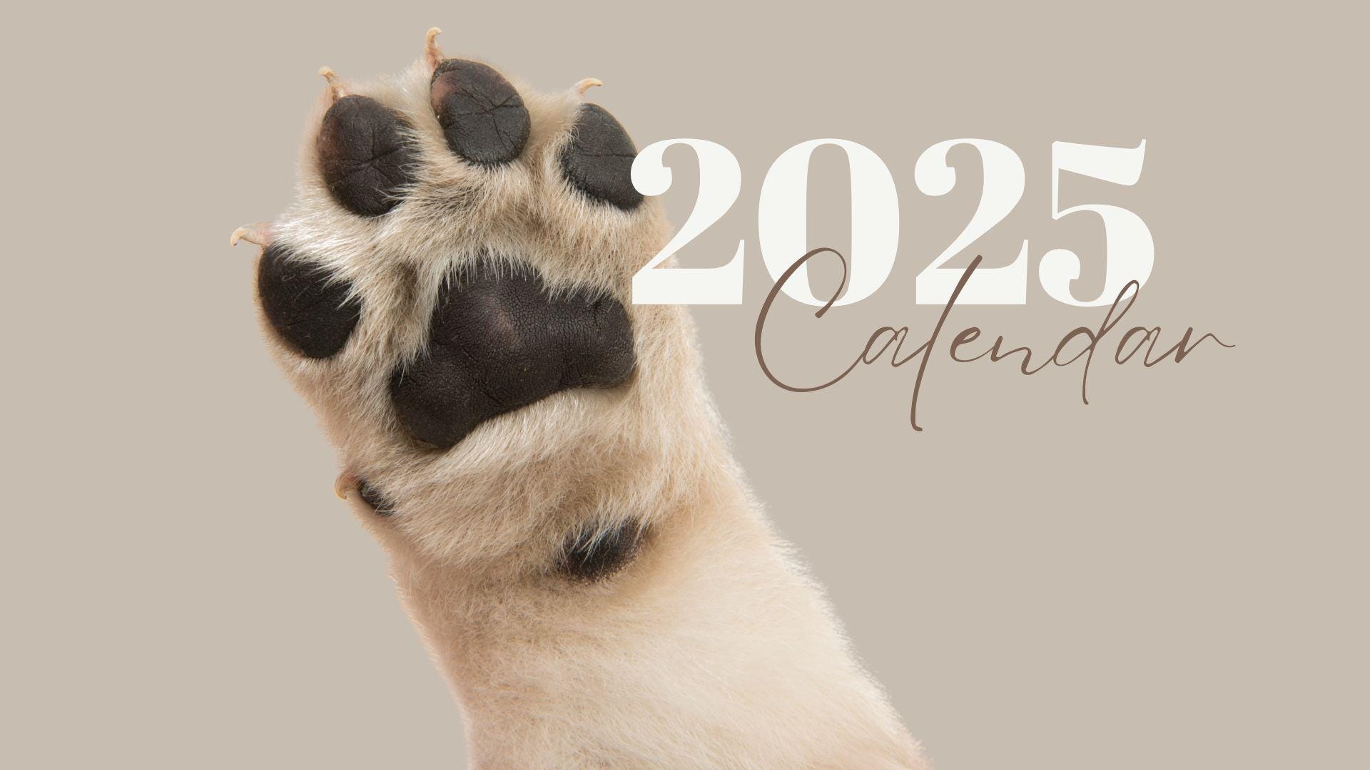 2025 Dog Calendar Printable Cute Monthly Digital Download With 12 Adorable Dog Designs Yearly Planner For Dog Lovers Etsy