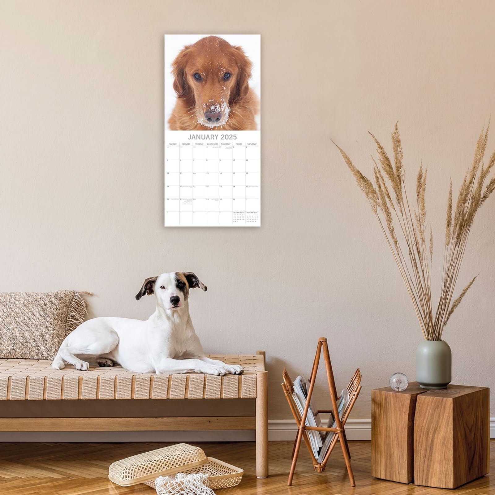 2025 Square Wall Calendar Golden Retrievers 16 Month Paw Prints Theme With 180 Reminder Stickers 30 X 30 CM BigaMart