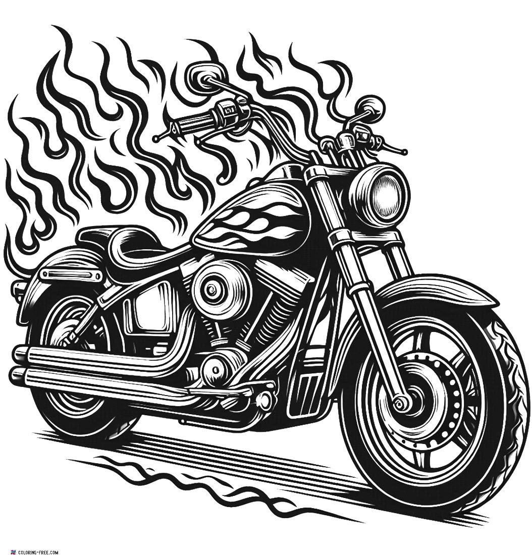 2907 Page Harley Davidson Motorcycles With Flames Are Pretty 