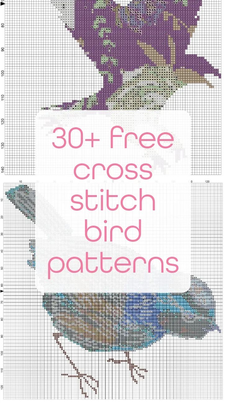 30 Free Cross Stitch Bird Patterns Craft With Cartwright