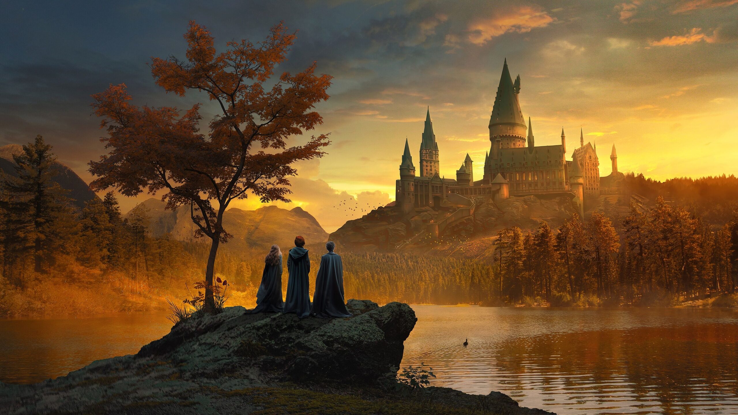 30 Harry Potter Laptop Wallpapers WallpaperSafari