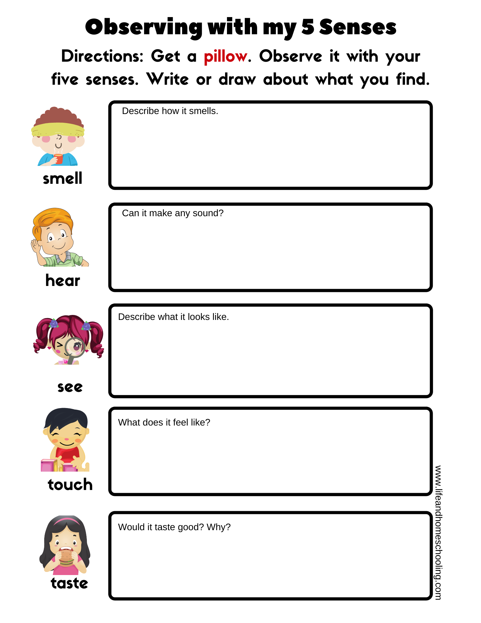 worksheets on 5 senses