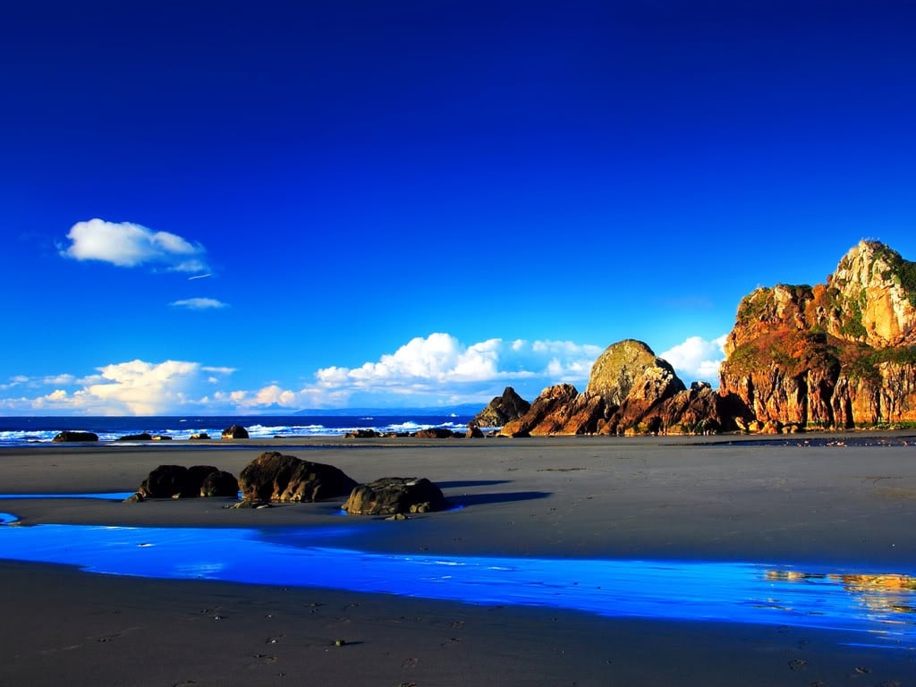 50 Free Computer Wallpapers Screen Saver Nature WallpaperSafari