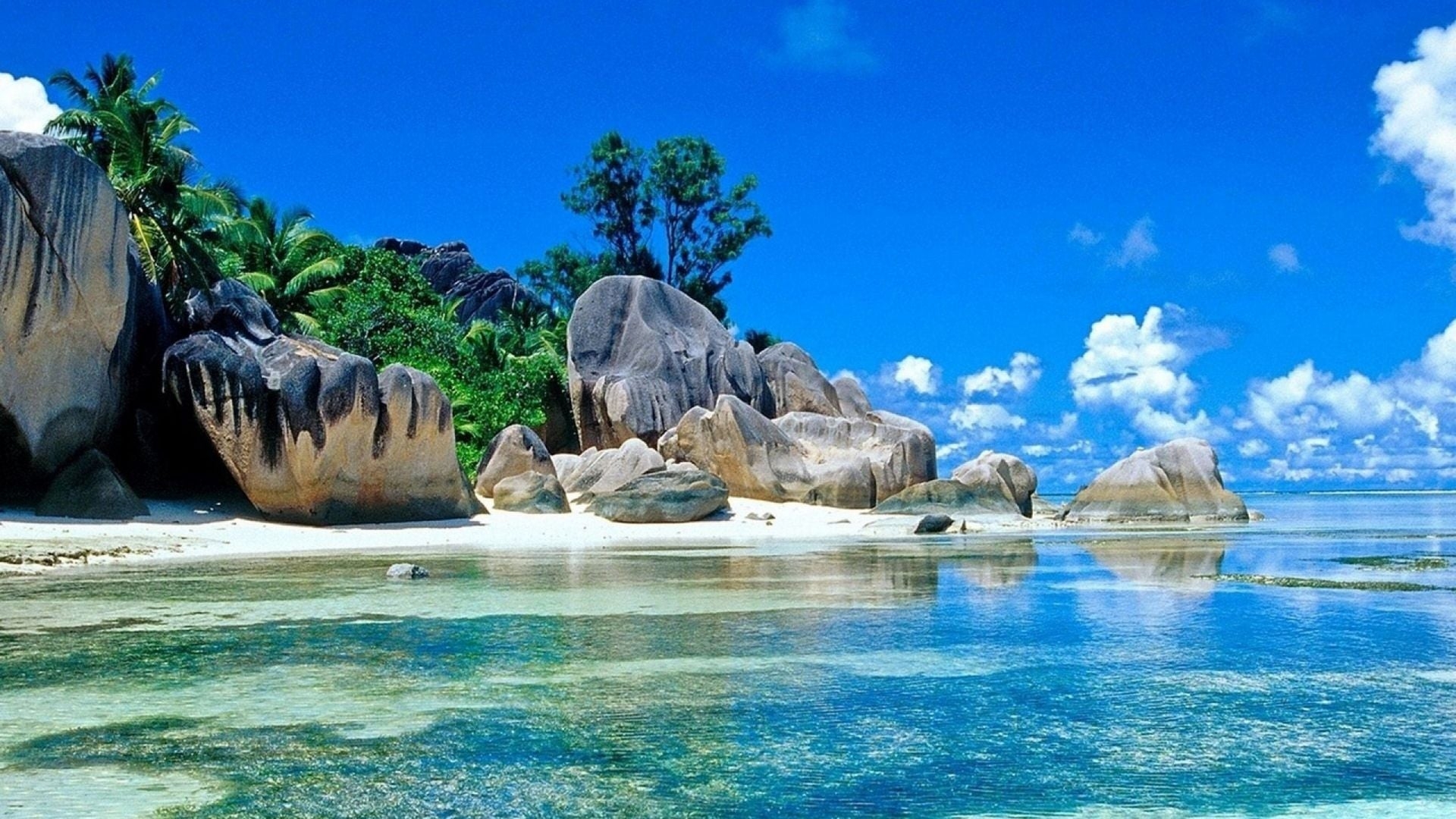  50 Free Desktop Photos And Wallpapers WallpaperSafari