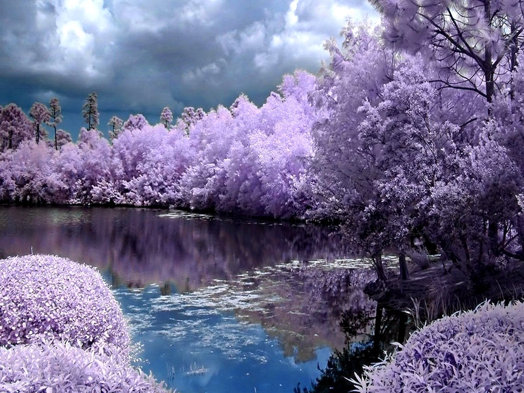  50 Free Screen Wallpapers For Spring Time WallpaperSafari