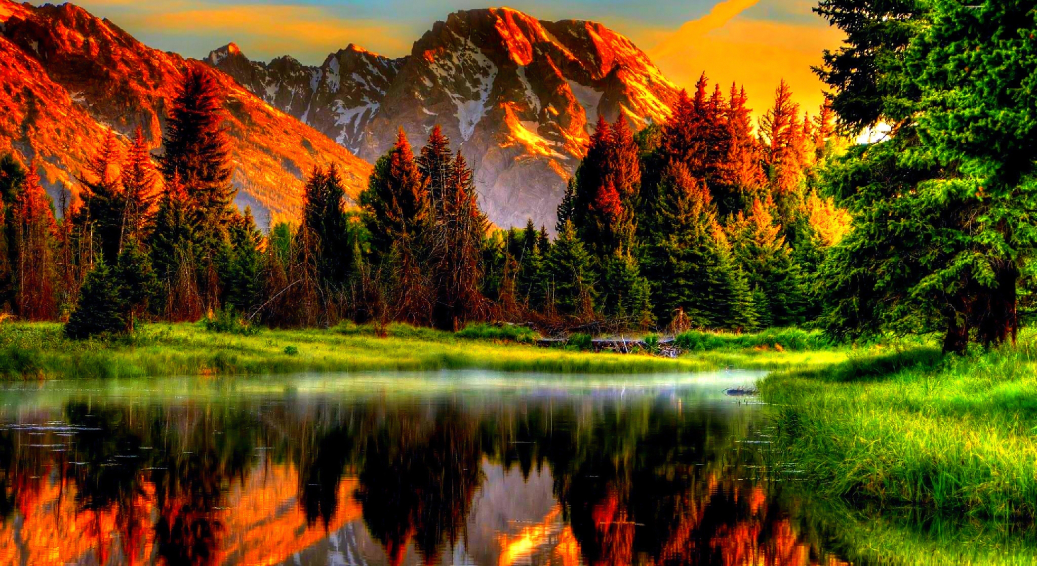  80 Free Backgrounds Pictures For My Computer WallpaperSafari