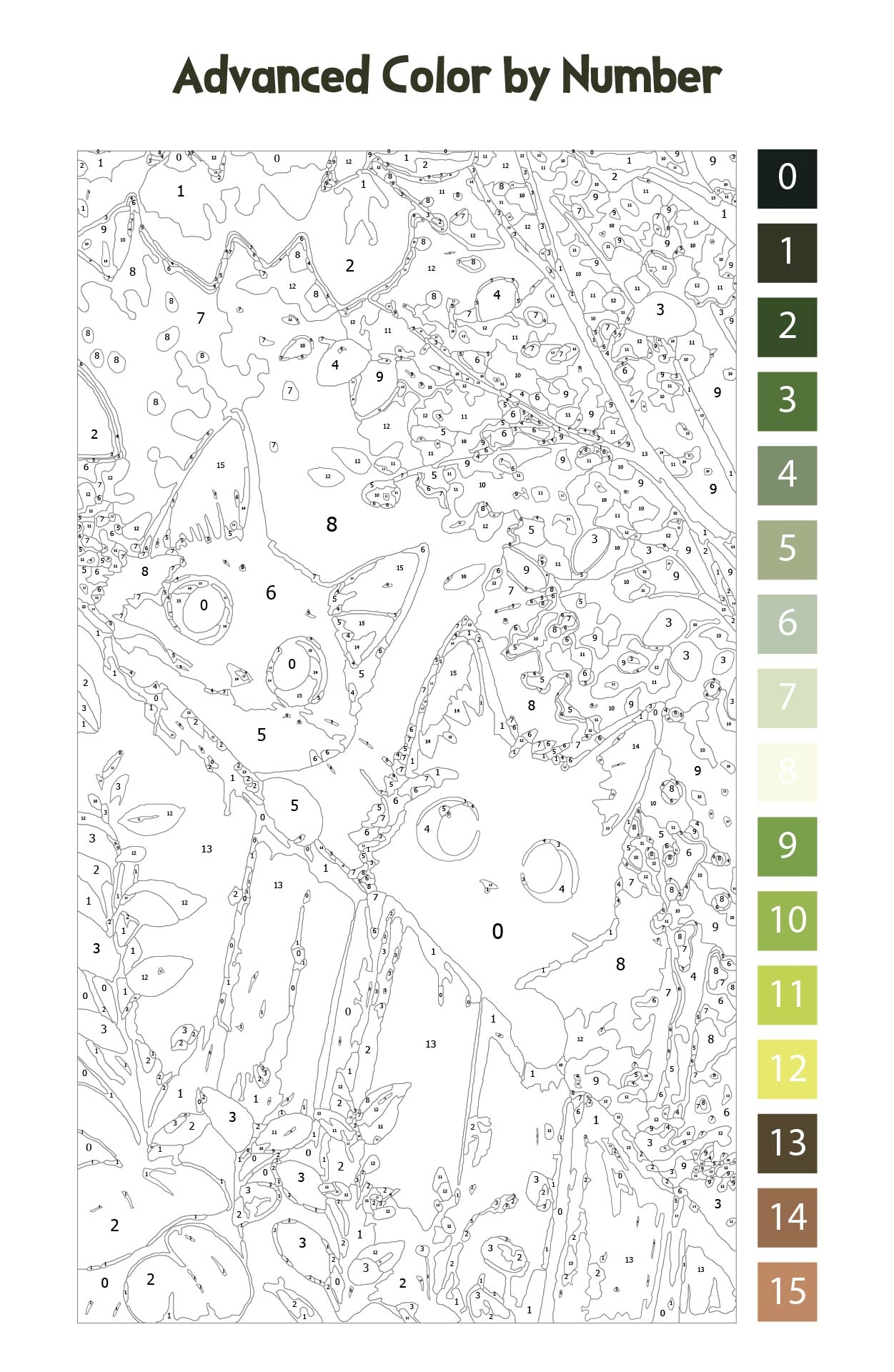 Advanced Color By Number 20 Free PDF Printables Printablee