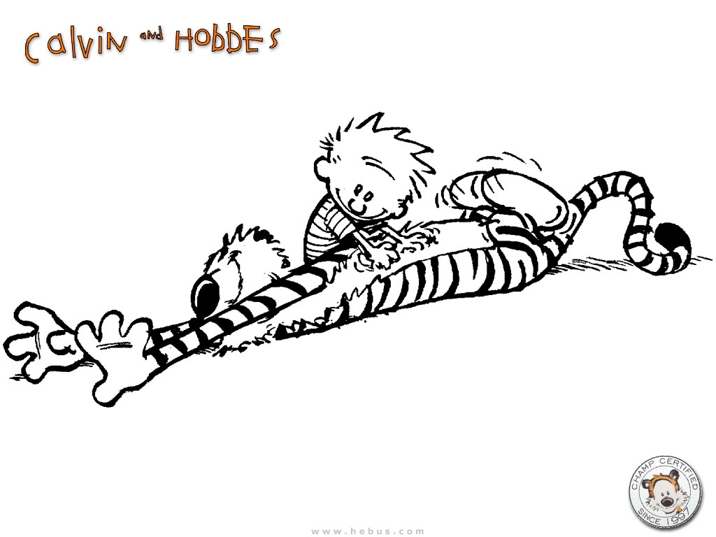 Adventures Of Calvin Hobbes A Comic Duo