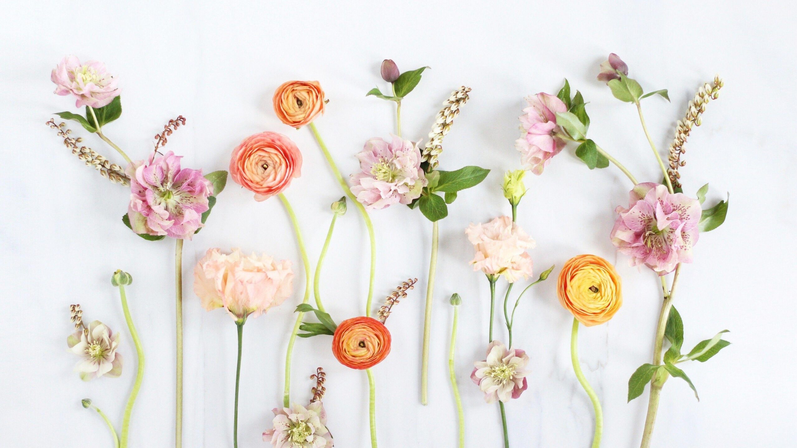 Aesthetic Spring HD Desktop Wallpaper 126141 Baltana