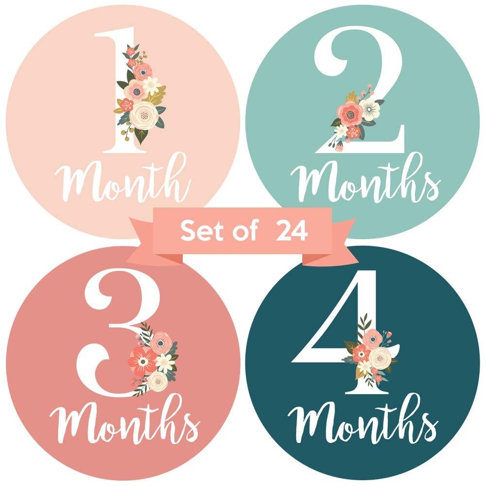 Amazon Baby Monthly Stickers Set Of 24 Floral Baby Girl Milestone Stickers Perfect For Newborn Girls Month To Month Milestones Pink Teal Floral Design Set Of 24 Baby