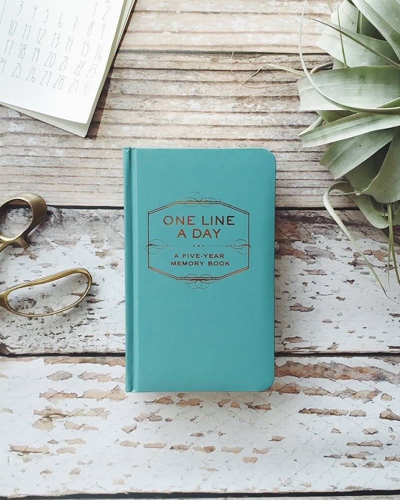 Amazon One Line A Day A Five Year Memory Book 5 Year Journal Daily Journal Yearly Journal Memory Journal 9780811870191 Chronicle Books Books