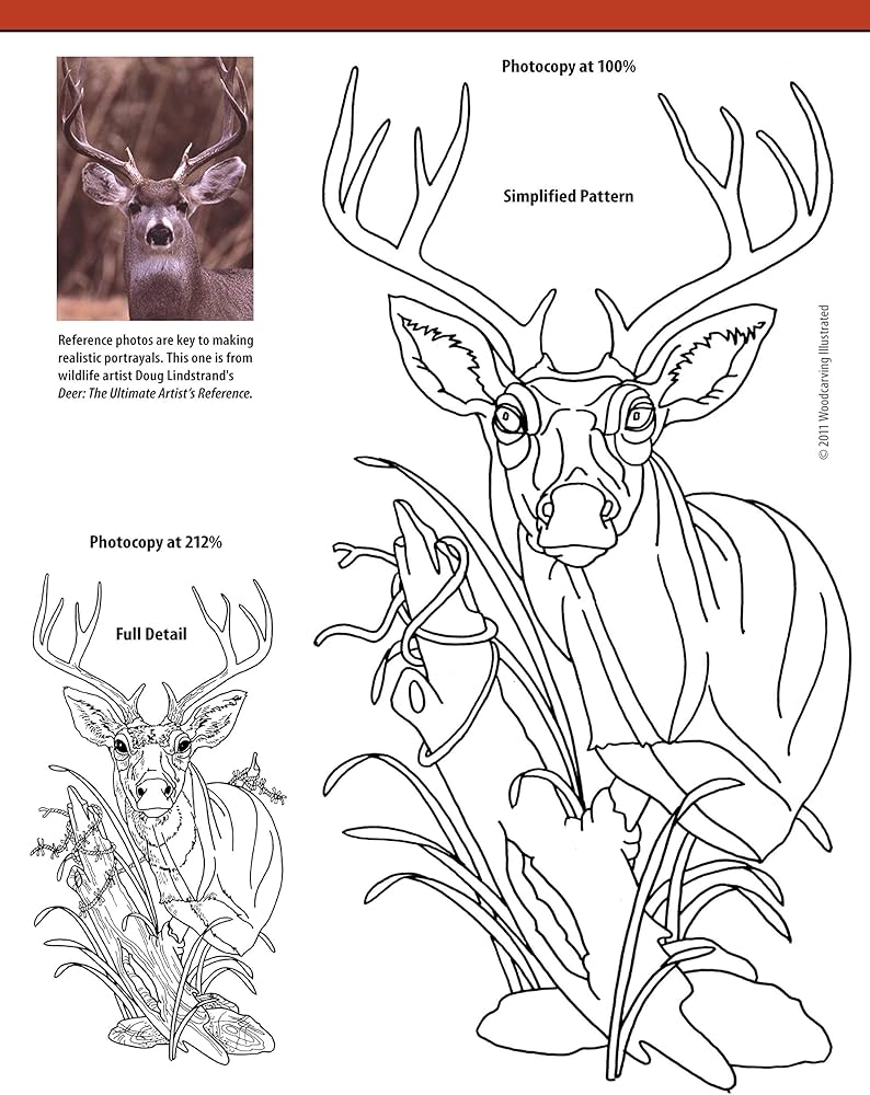 Amazon Relief Carving Projects Techniques Expert Advice And 37 All Time Favorite Projects And Patterns Fox Chapel Publishing Carve Wood In 3D Step by Step Photos 9781565235588 Editors Of Woodcarving Illustrated Libros