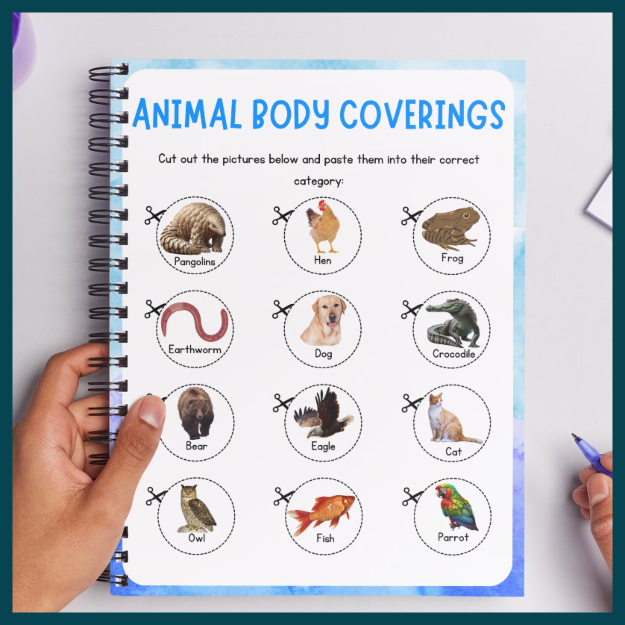 body covering of animals worksheets