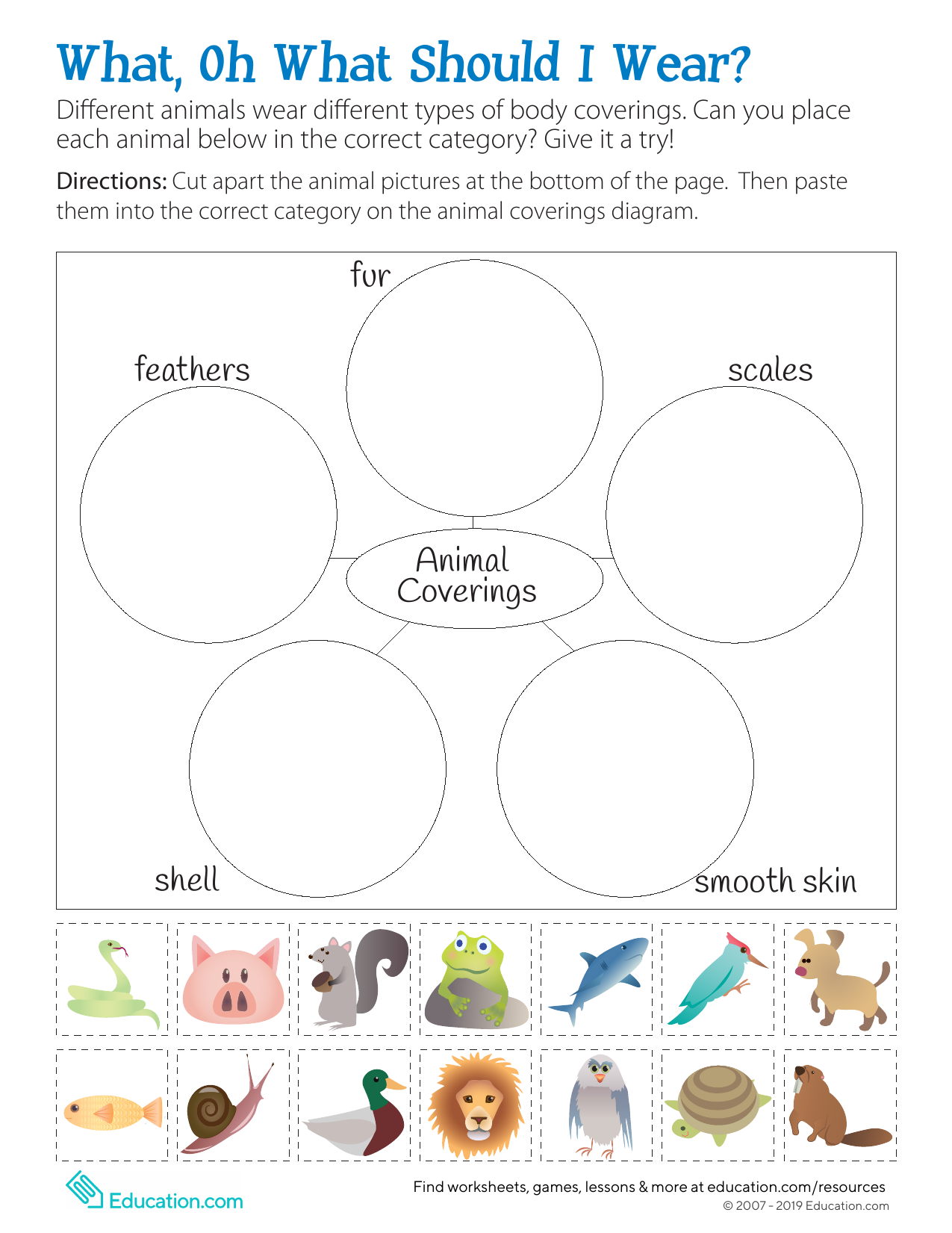 body covering of animals worksheet