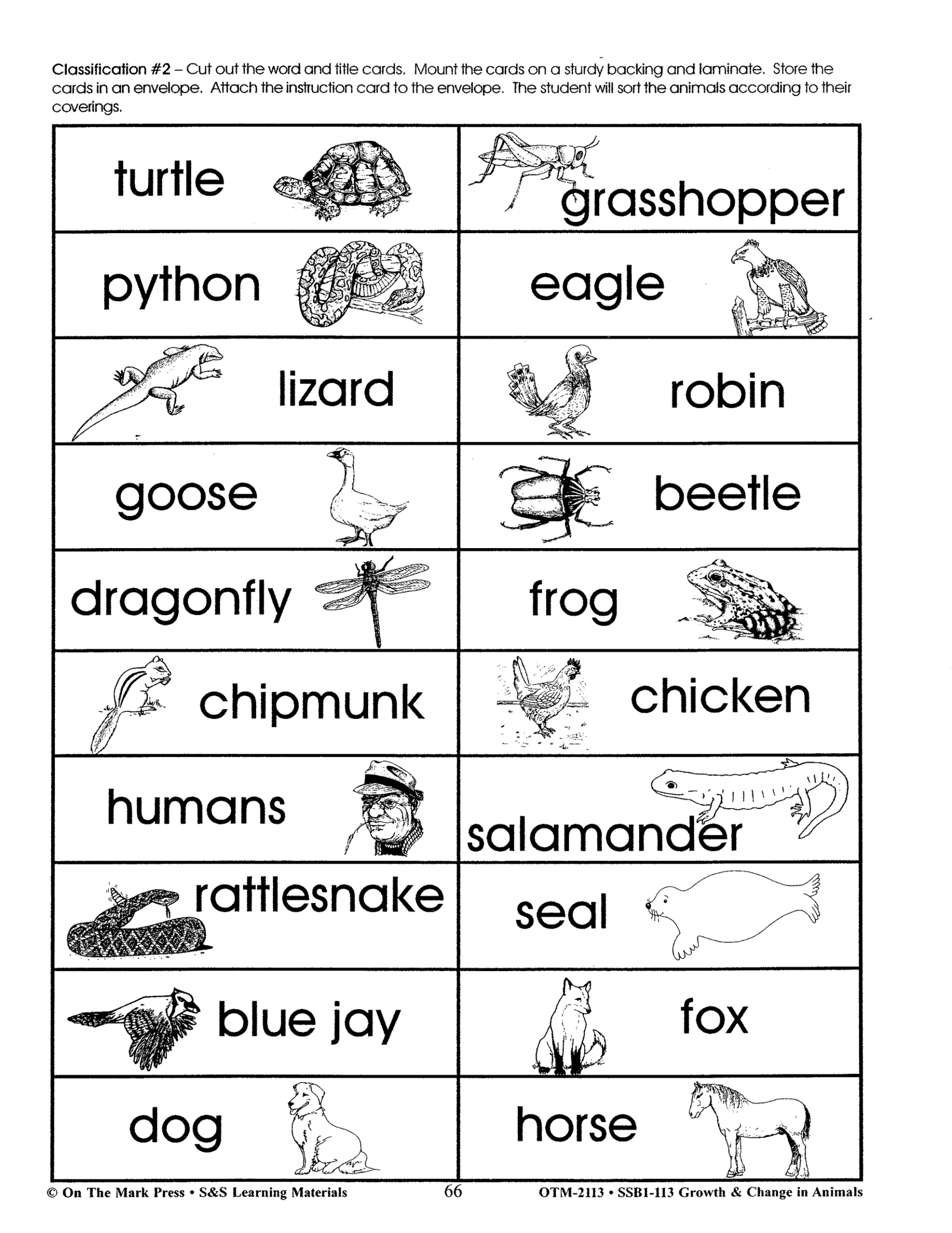 Animals Body Covering ESL Worksheet By Miss Jeathz Worksheets Library