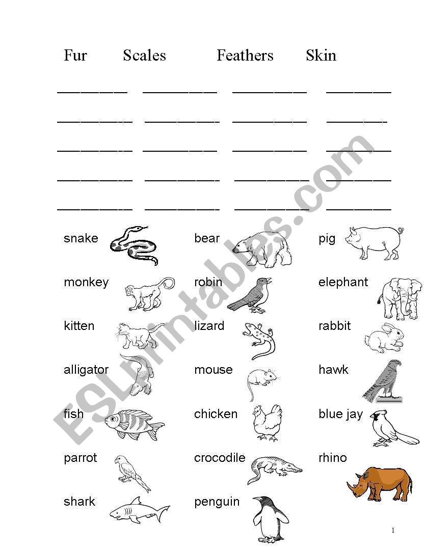 Animals Body Covering ESL Worksheet By Nana2910