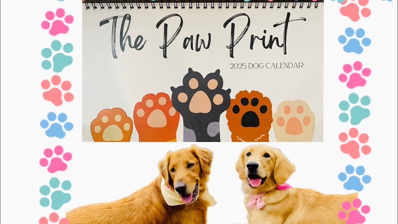 paw prints calendar 2025