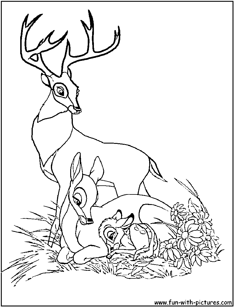 coloring page of bambi