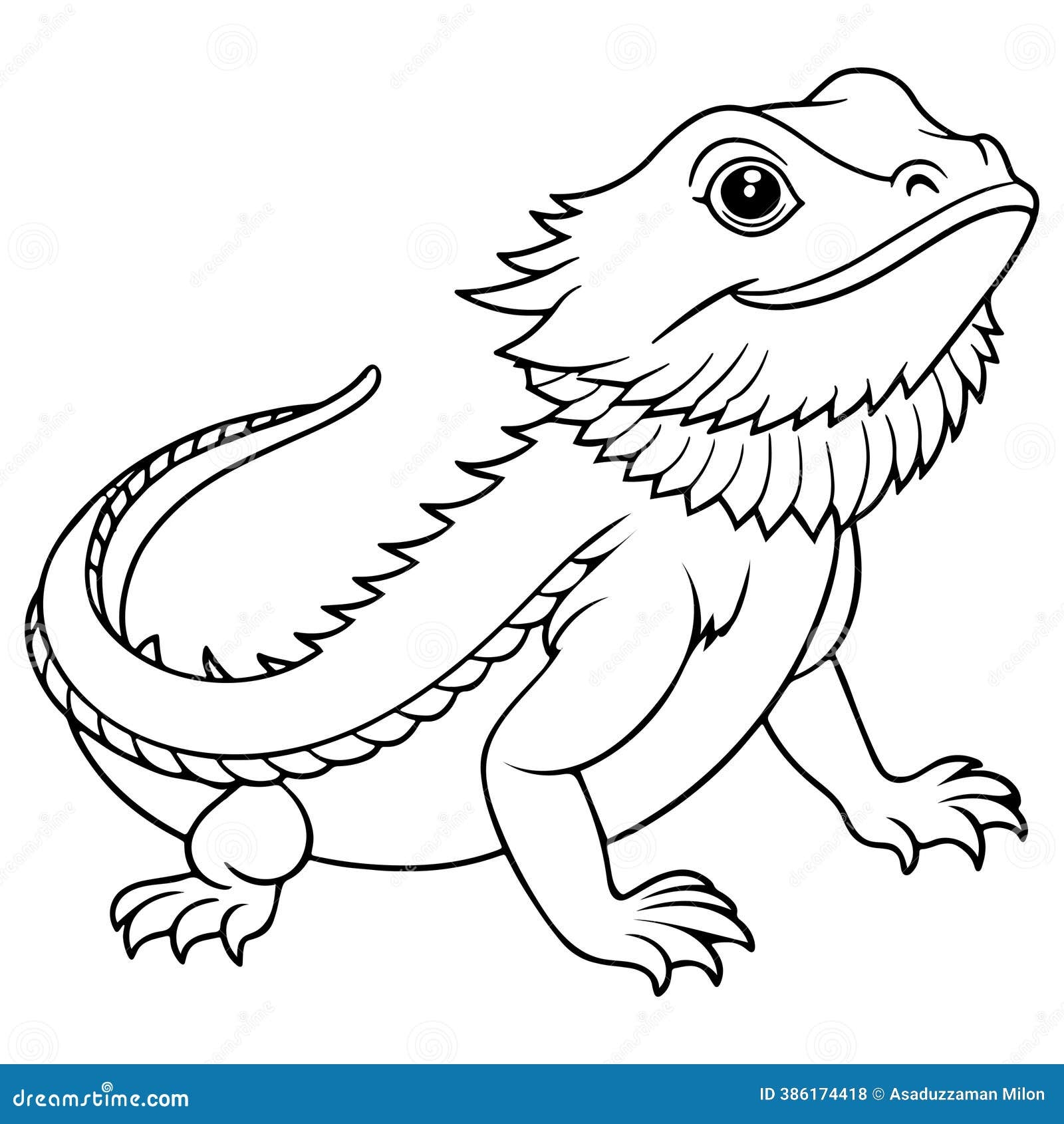 Bearded Dragon Coloring Stock Illustrations 130 Bearded Dragon Coloring Stock Illustrations Vectors Clipart Dreamstime
