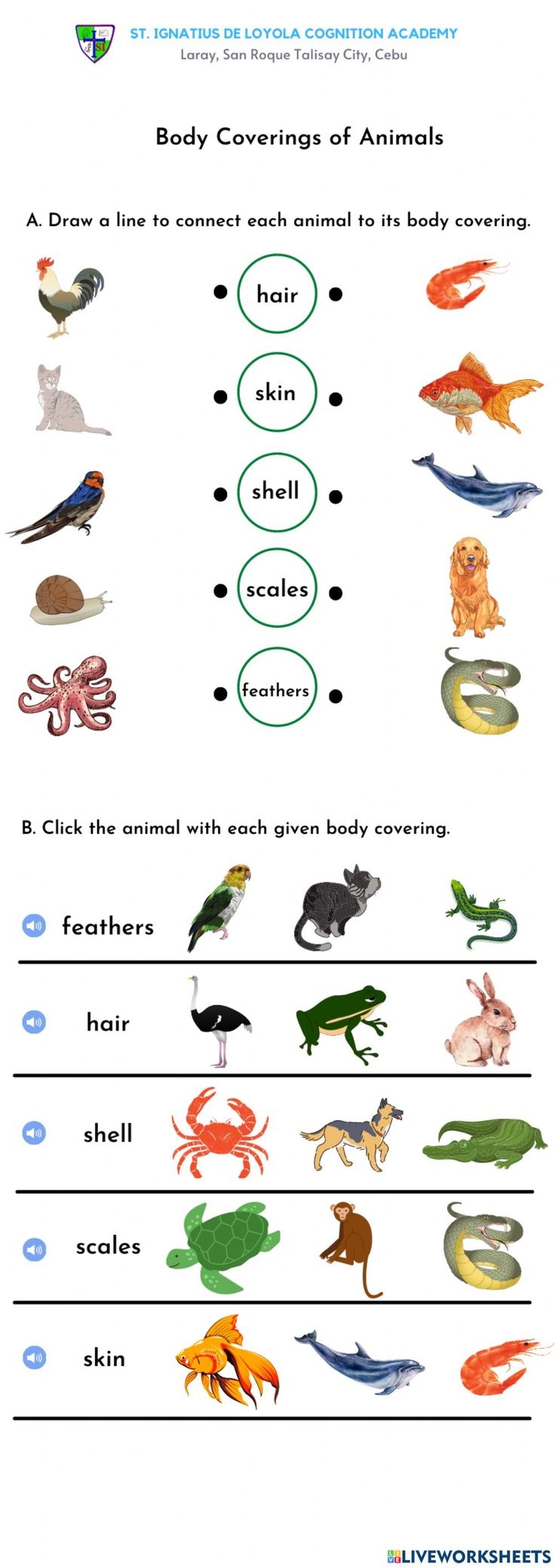Body Coverings Of Animals Interactive Worksheet