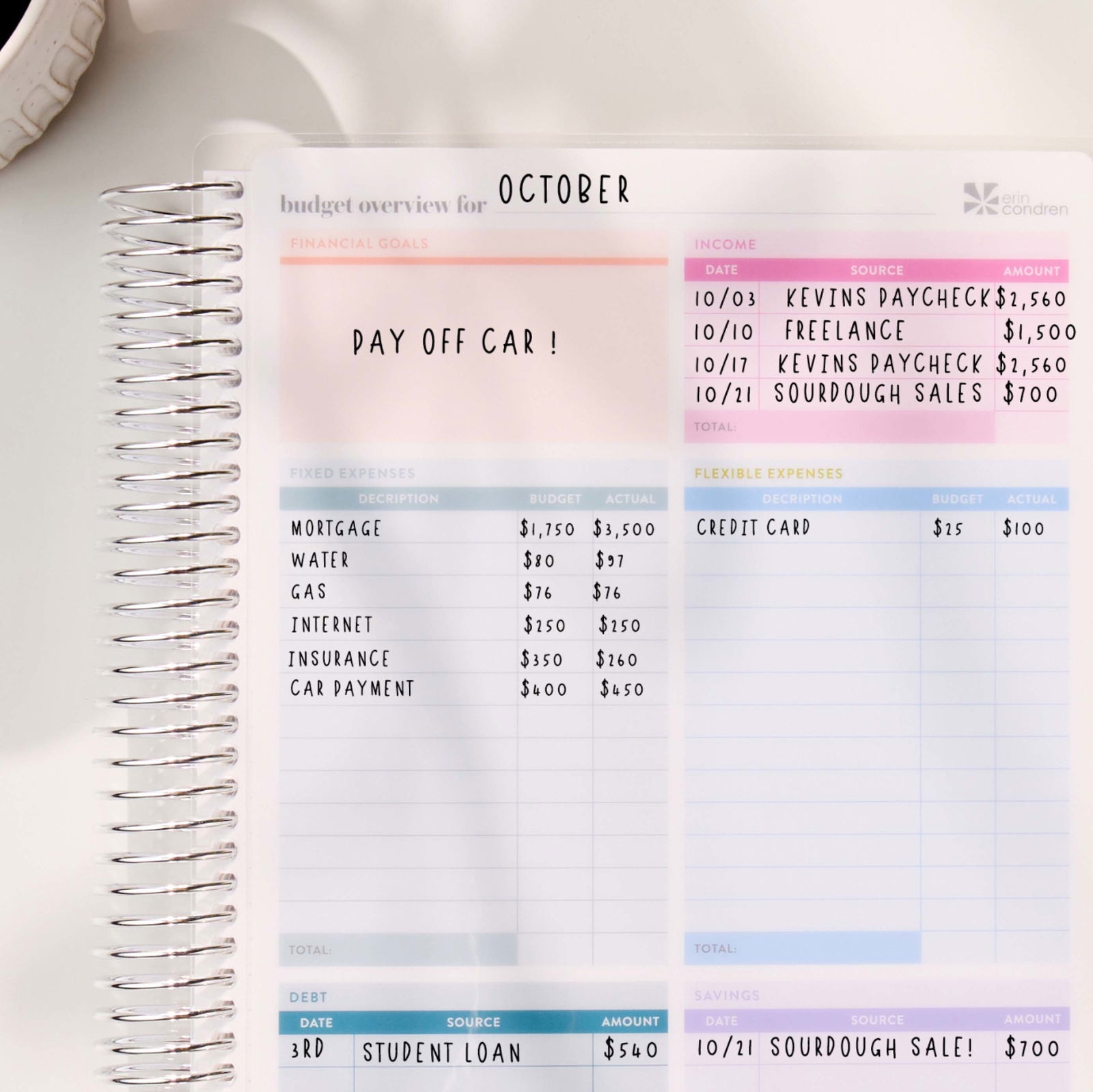 Budget Planning Bundle Erin Condren
