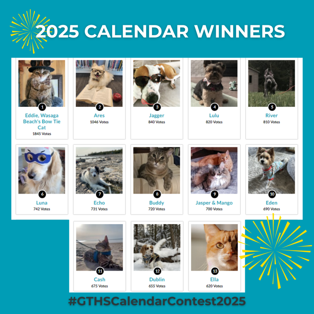 Calendar Contest Georgian Triangle Humane Society
