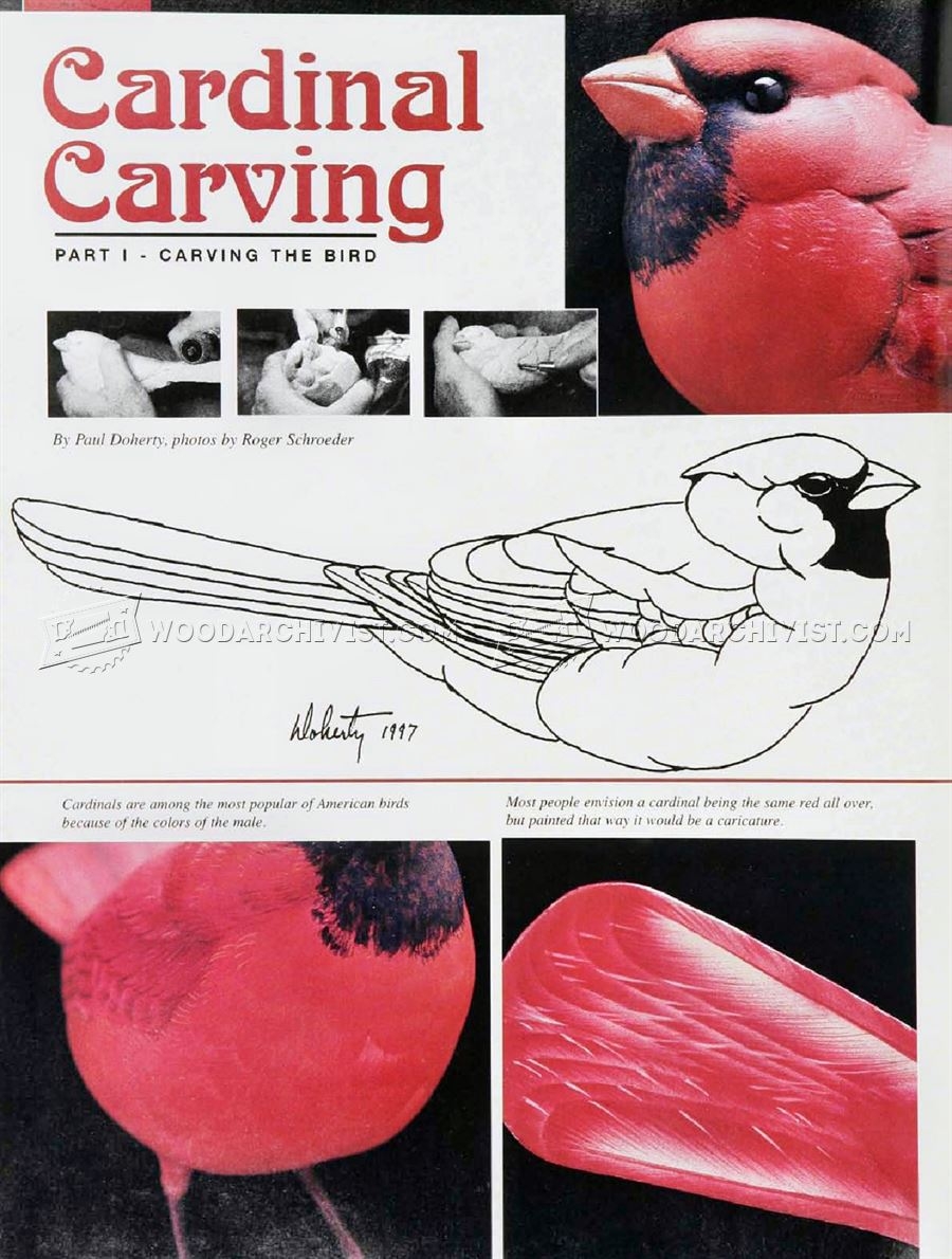 Cardinal Carving Wood Carving Patterns WoodArchivist