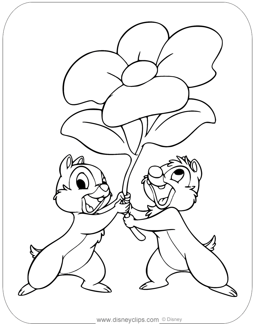 Chip And Dale s Flower
