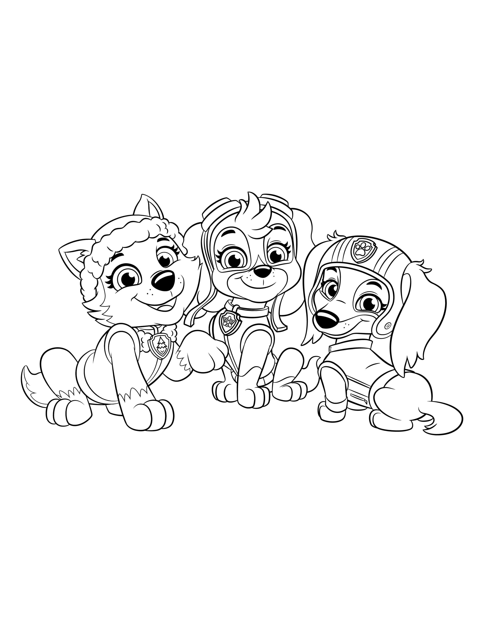 Colour In Everest Skye And Liberty PAW Patrol