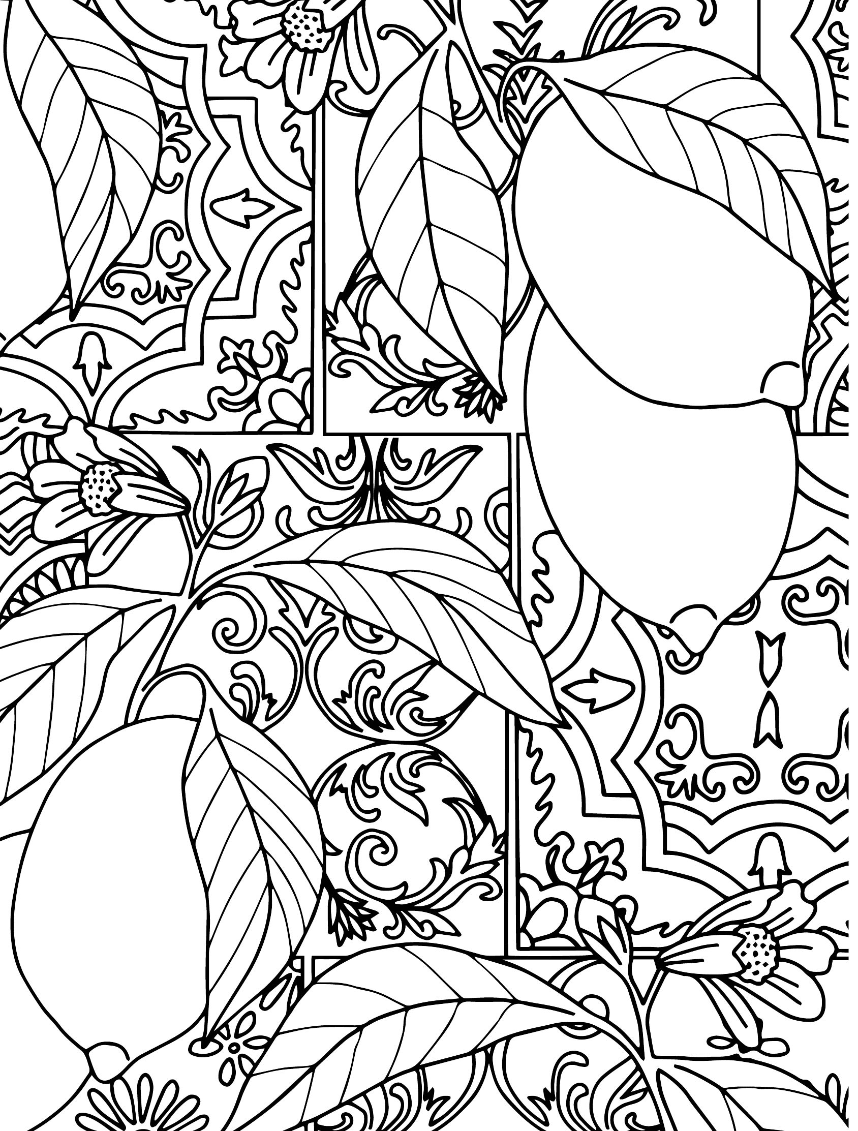 hp printables coloring pages