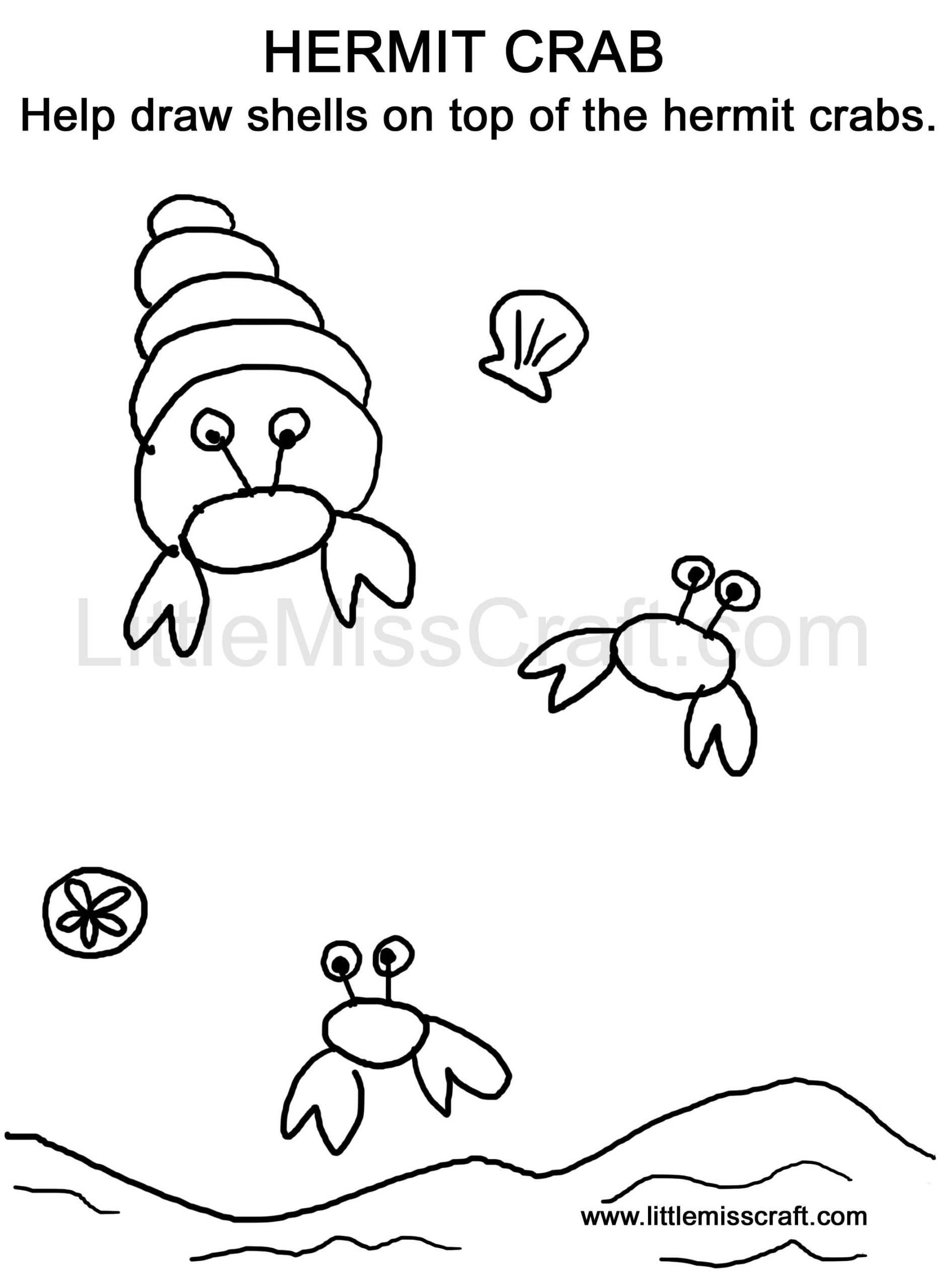 hermit crab pictures to color