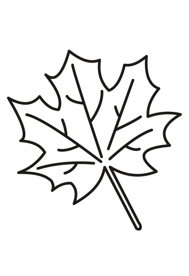 Dibujos De Hojas Para Colorear
