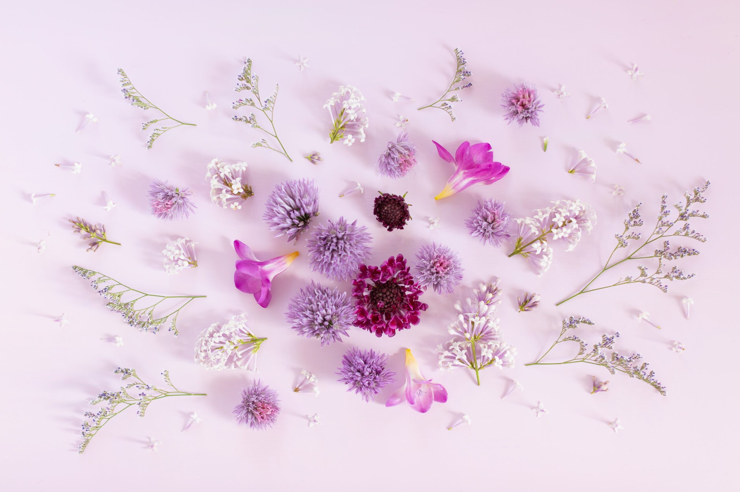 DIGITAL BLOOMS JULY 2019 FREE DESKTOP WALLPAPER MY 400TH BLOG POST JustineCelina