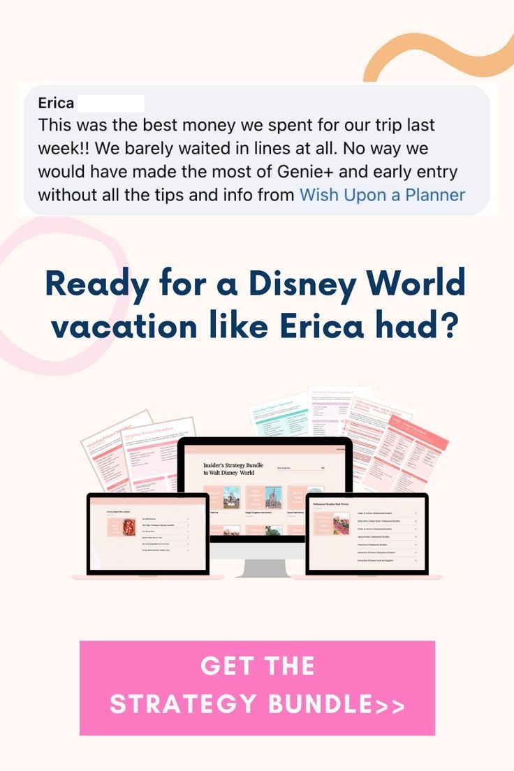Discover 160 Best Of Wish Upon A Planner And Disney World Planning Ideas Disney Tips Disney World Disney World Tips And Tricks And More