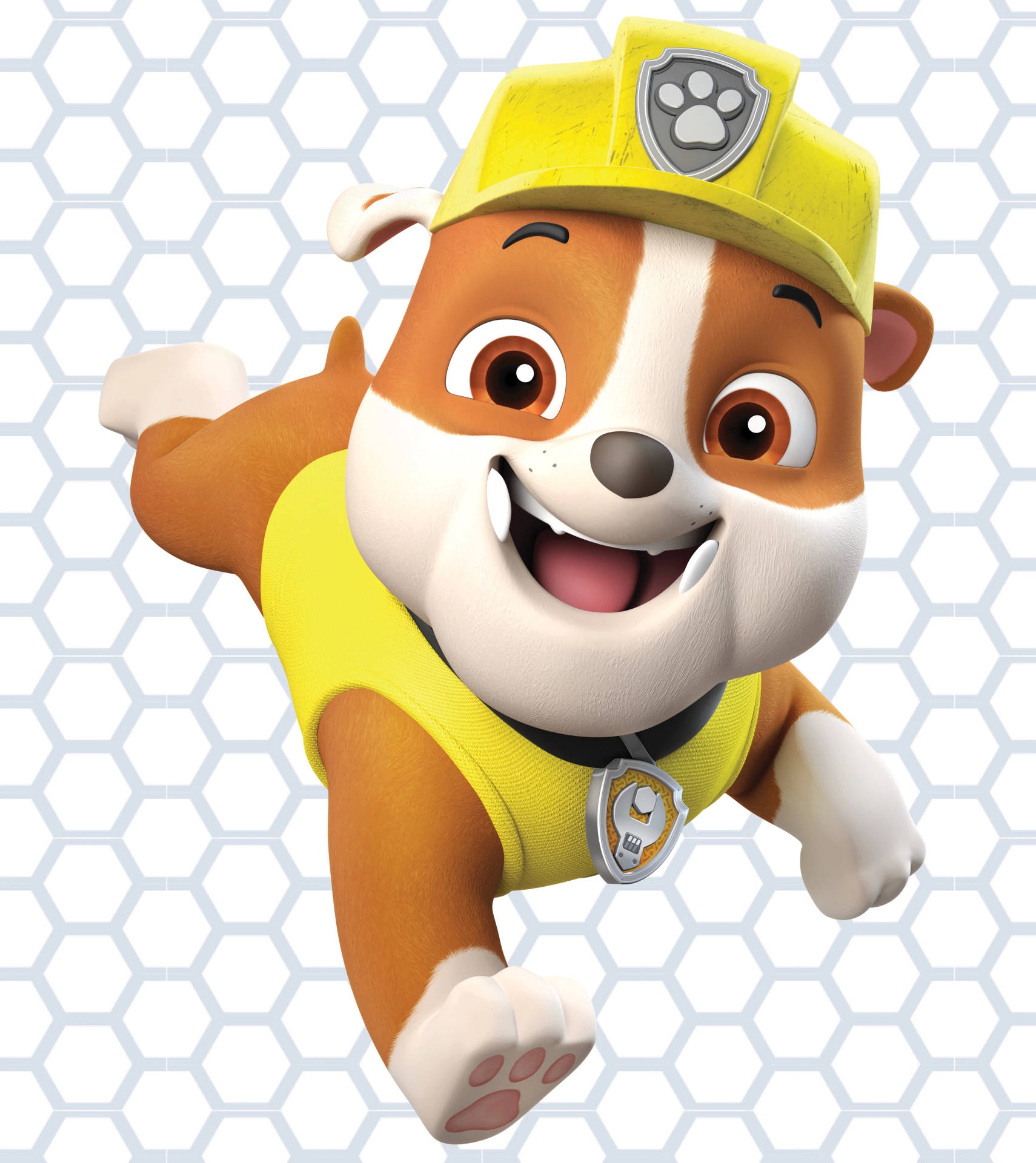 Download Paw Patrol Rubble Wallpaper Wallpapers