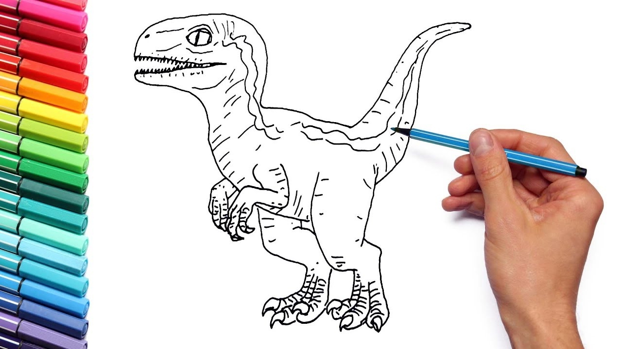 Drawing And Coloring Baby Raptor Blue From Jurassic World Dinosaur Color Pages For Kids YouTube