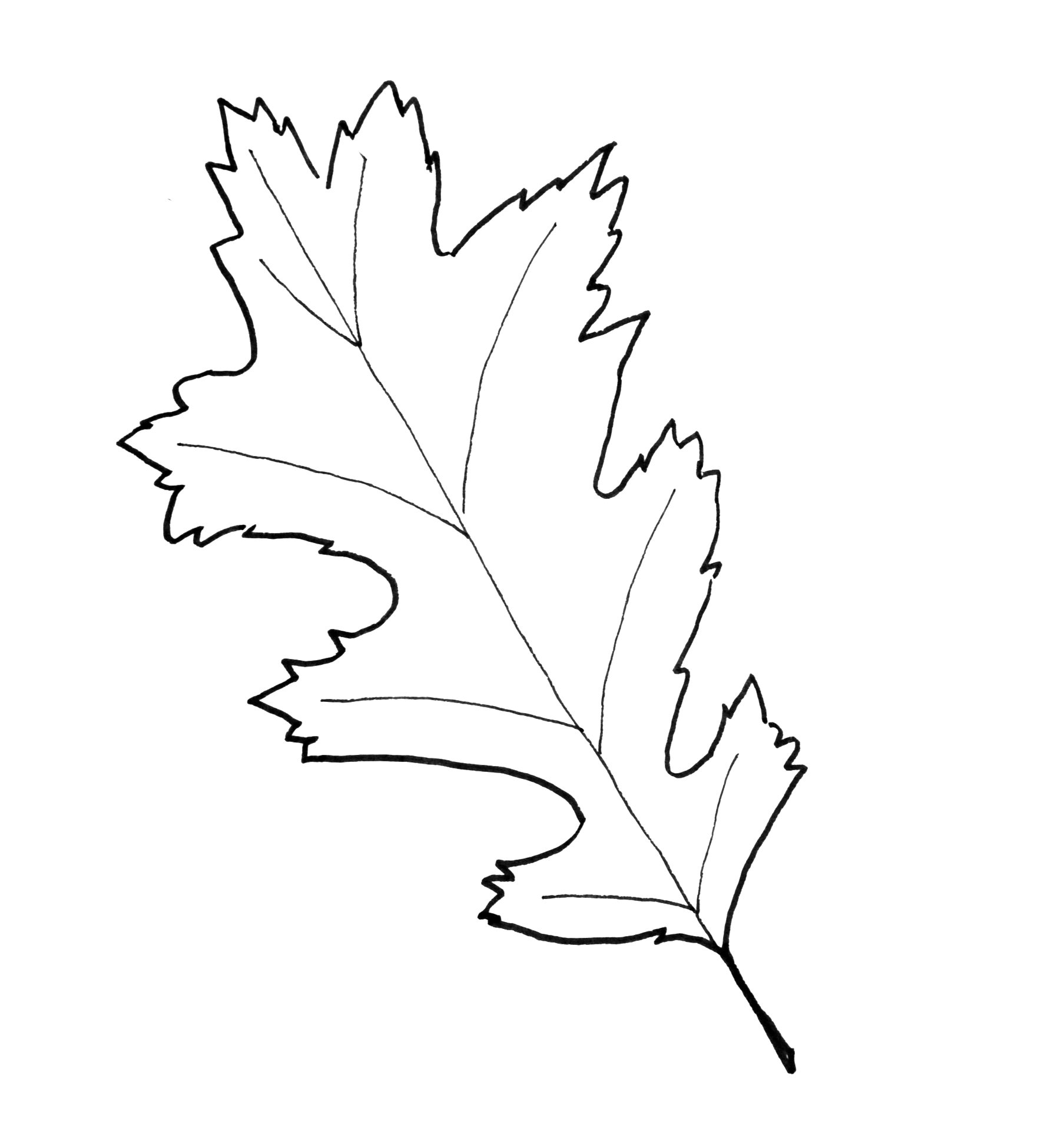 fall leaf patterns printable