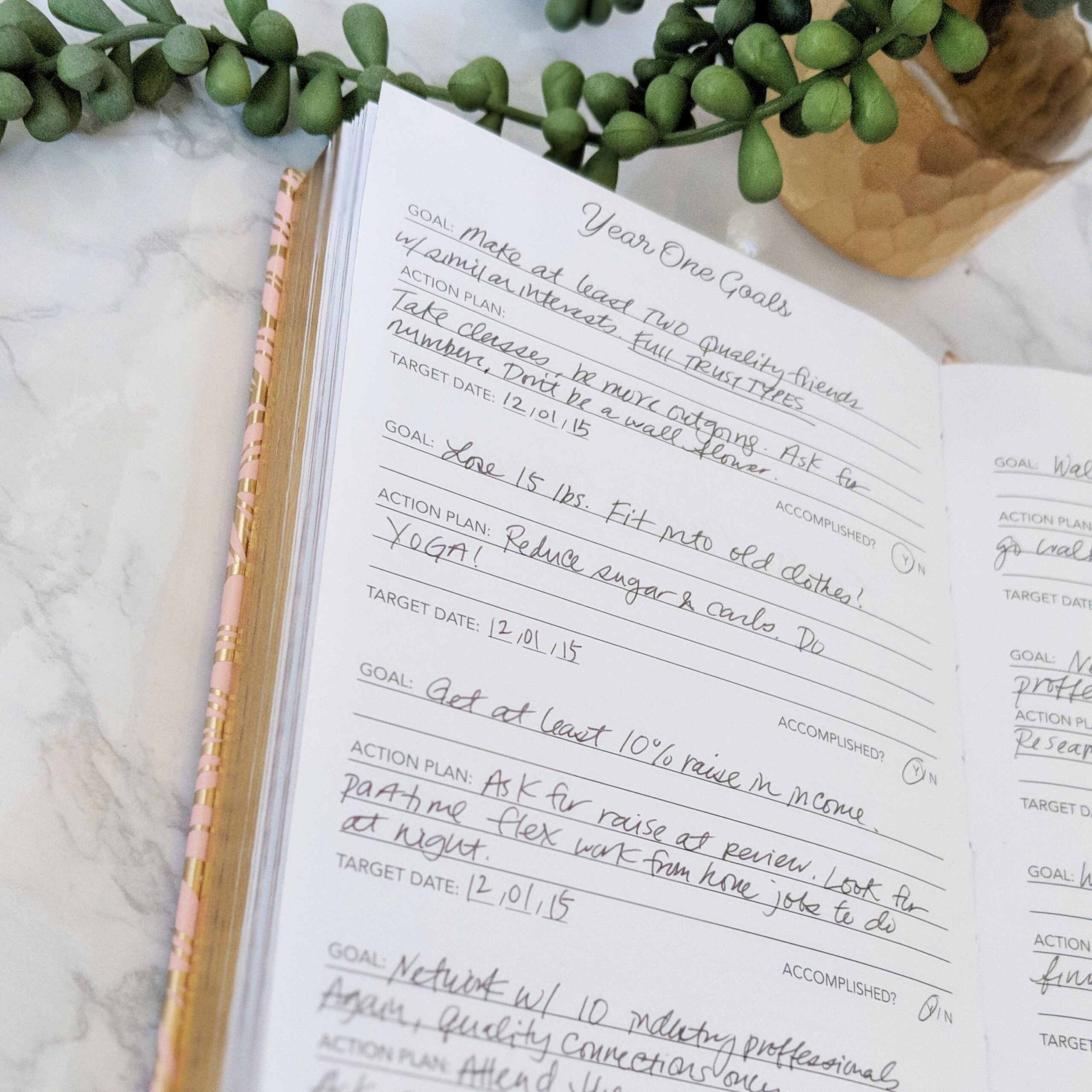 line a day journal
