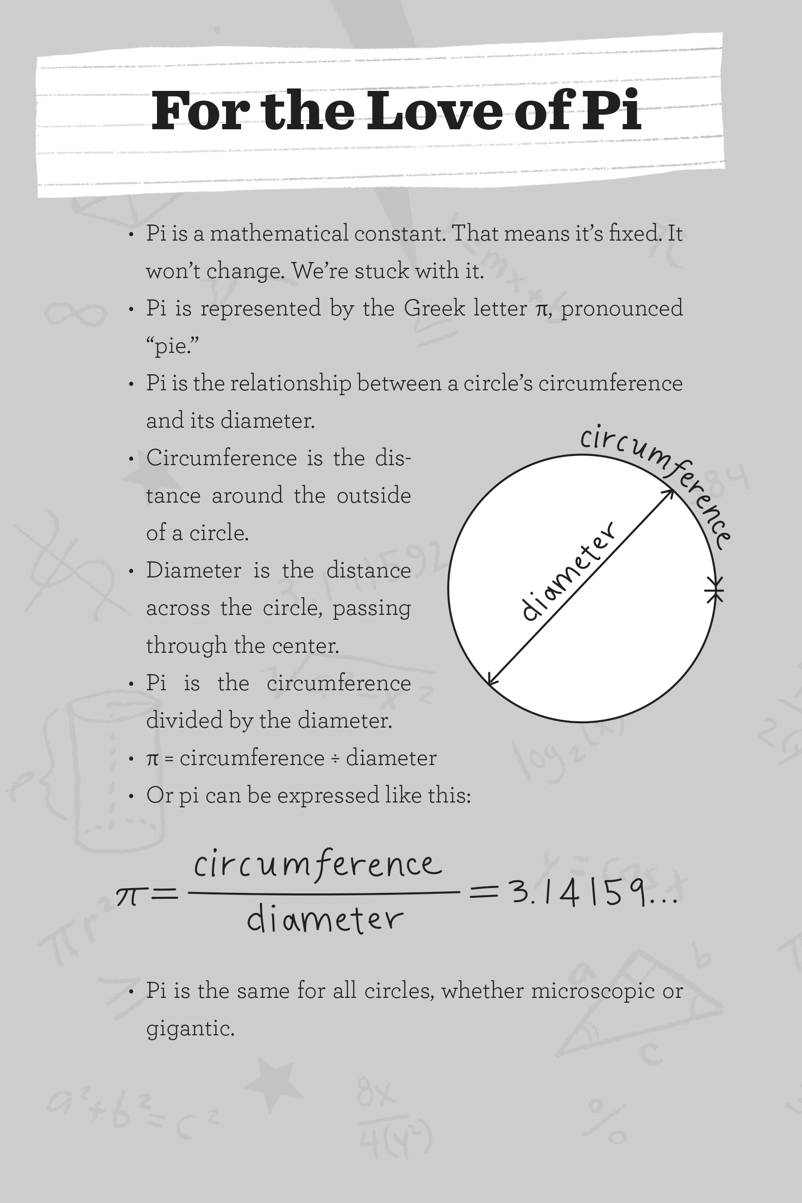 For The Love Of Pi Stacy McAnulty
