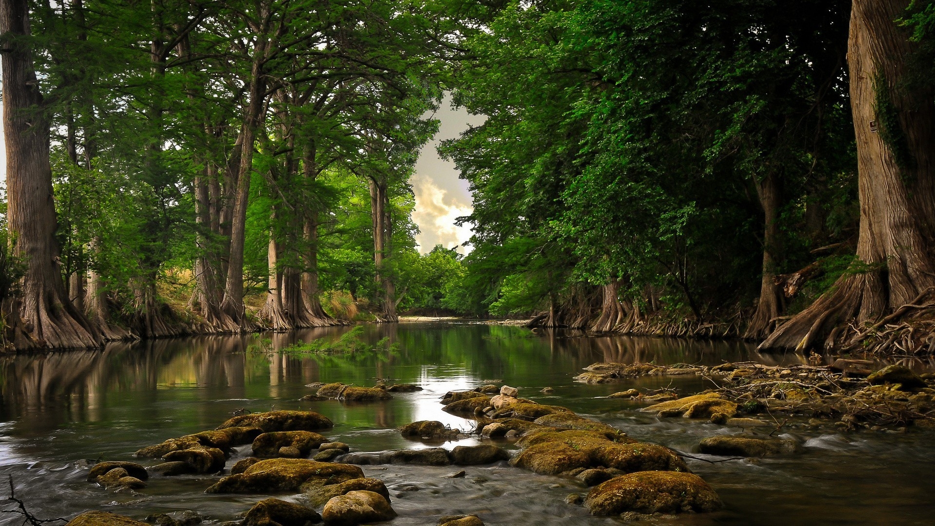 Free 4K Desktop Wallpapers PC Backgrounds In HD Download Now