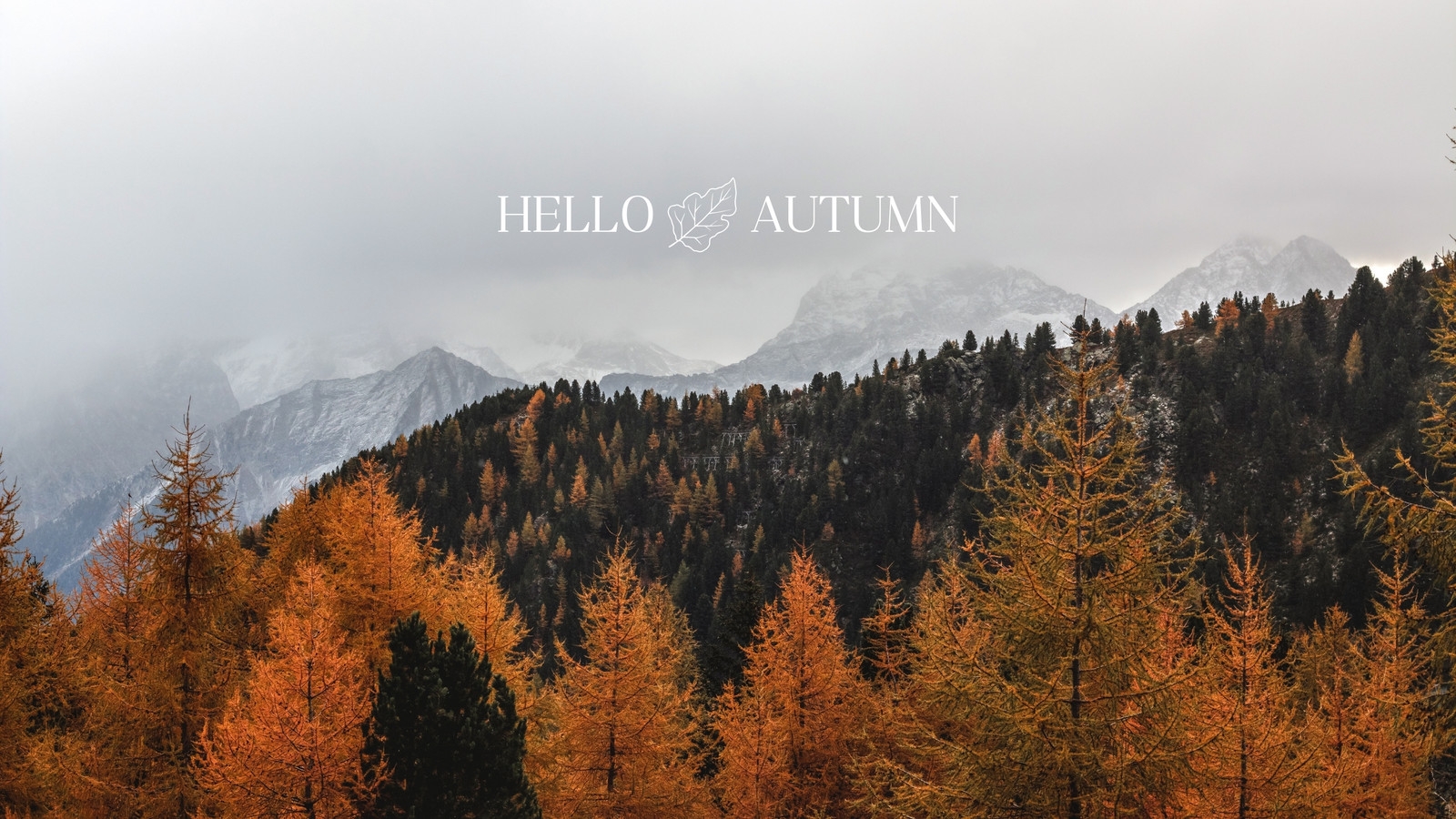 fall backgrounds for laptop