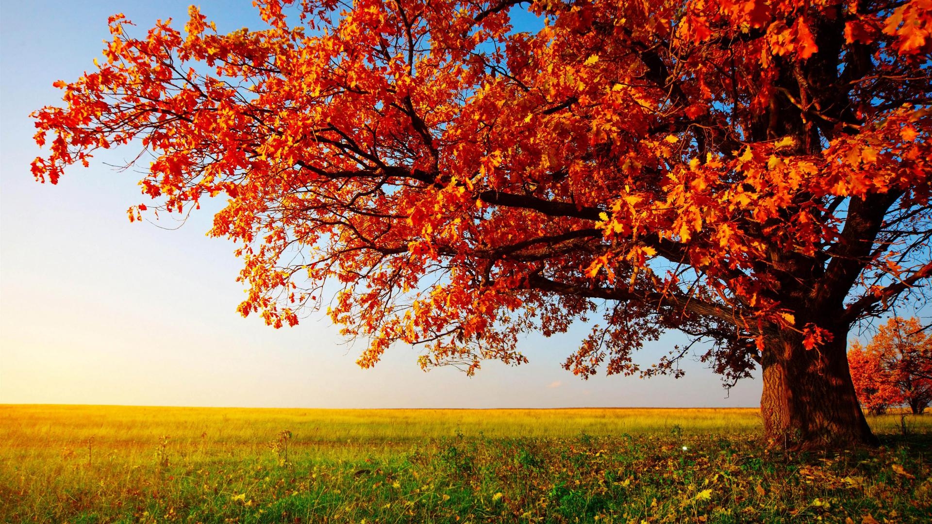 Free Desktop Wallpaper HD ITC Sales Blog