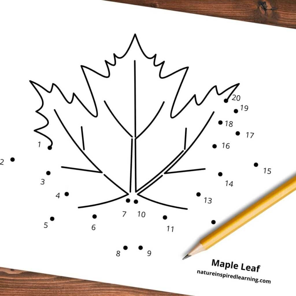 Free Dot To Dot Worksheets 1 20 Nature Inspired Learning
